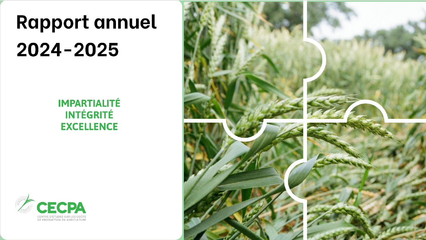 Informations complémentaires : RAPPORT ANNUEL 2024-2025